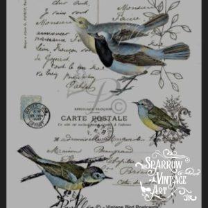 Vintage Bird Postcards - Rub on Image Transfer